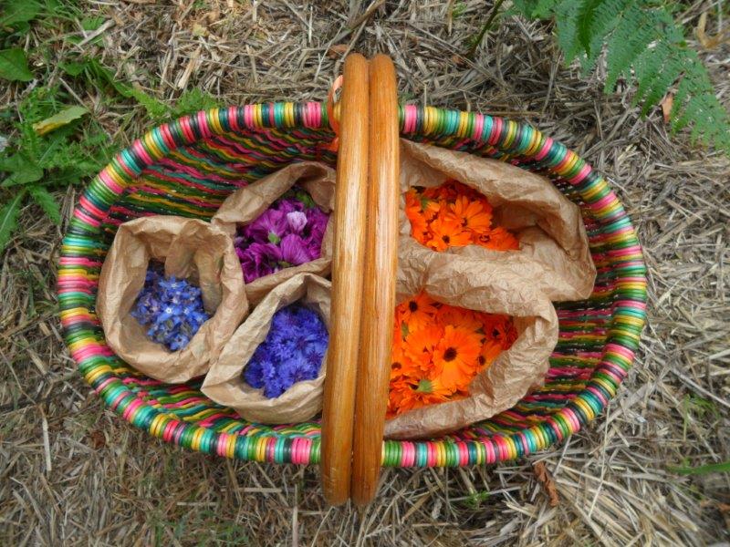 panier de fleurs